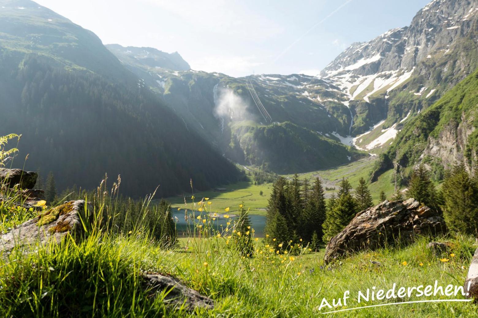 Ferienwohnung Auf Niedersehen - 8 Personen - Kitzbuehler Alpen - Hoehe Tauern Np Hollersbach im Pinzgau Exteriör bild